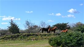 LR-WRF-1142025-Retreat-7338