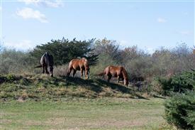 LR-WRF-1142025-Retreat-7354