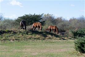 LR-WRF-1142025-Retreat-7356