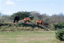 LR-WRF-1142025-Retreat-7361