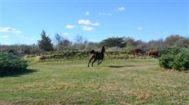 LR-WRF-1142025-Retreat-7367