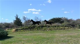 LR-WRF-1142025-Retreat-7377