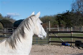 LR-WRF-1142025-Retreat-7442