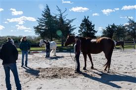 LR-WRF-1142025-Retreat-7463