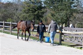 LR-WRF-1142025-Retreat-7469