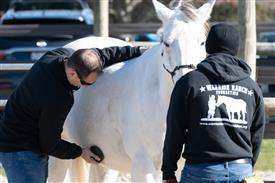 LR-WRF-1142025-Retreat-7502