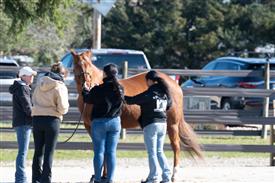 LR-WRF-1142025-Retreat-7530