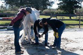 LR-WRF-1142025-Retreat-7601