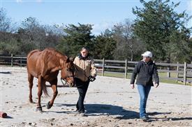 LR-WRF-1142025-Retreat-7617