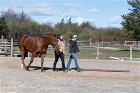 LR-WRF-1142025-Retreat-7625