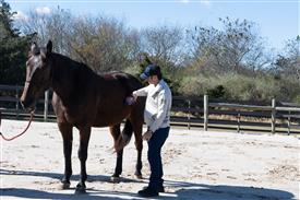 LR-WRF-1142025-Retreat-7629