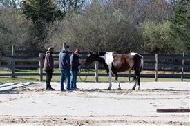 LR-WRF-1142025-Retreat-7666