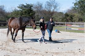 LR-WRF-1142025-Retreat-7687