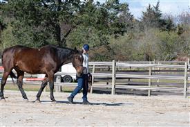 LR-WRF-1142025-Retreat-7758