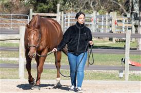 LR-WRF-1142025-Retreat-7759