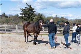 LR-WRF-1142025-Retreat-7795