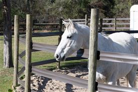 LR-WRF-1142025-Retreat-7810