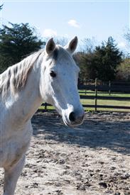 LR-WRF-1142025-Retreat-7887