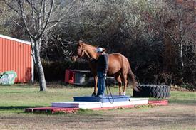 LR-WRF-1142025-Retreat-7942