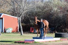 LR-WRF-1142025-Retreat-7945