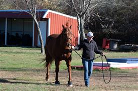 LR-WRF-1142025-Retreat-7954