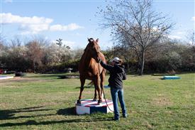 LR-WRF-1142025-Retreat-8010