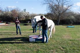 LR-WRF-1142025-Retreat-8088