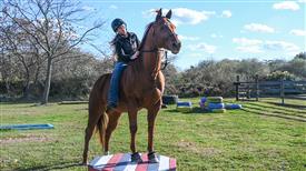 LR-WRF-1142025-Retreat-8176