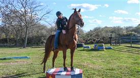 LR-WRF-1142025-Retreat-8184