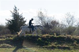 LR-WRF-1142025-Retreat-8214