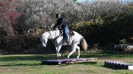 LR-WRF-1142025-Retreat-8279