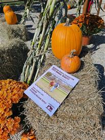 LR-WRF-2025Benefit-130132