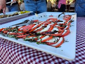 LR-WRF-2025Benefit-142943