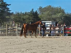 LR-WRF-2025Benefit-155824