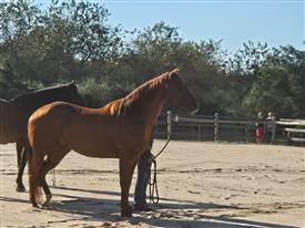 LR-WRF-2025Benefit-155828