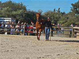 LR-WRF-2025Benefit-155927