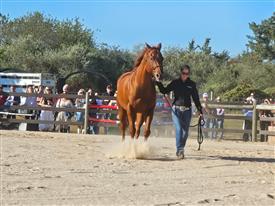 LR-WRF-2025Benefit-155929