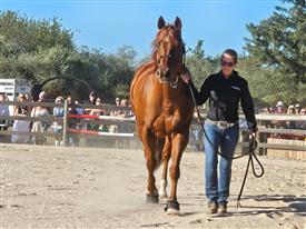 LR-WRF-2025Benefit-155933