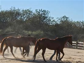 LR-WRF-2025Benefit-155956