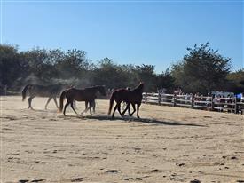 LR-WRF-2025Benefit-155958