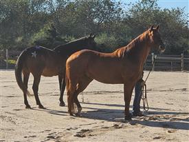 LR-WRF-2025Benefit-28