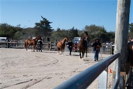 LR-WRF-2025Benefit-6052