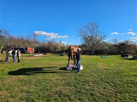 LR-WRF11432025-Retreat--21