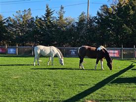 LR-WRF11432025-Retreat-090518