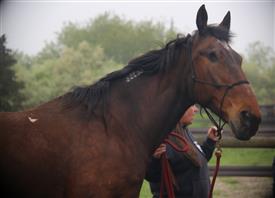 NCPD-05062025-Retreat-1890