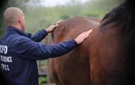 NCPD-05062025-Retreat-1922