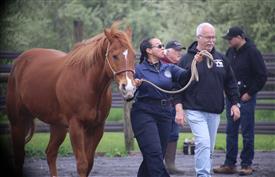 NCPD-05062025-Retreat-2002