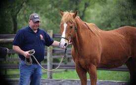 NCPD-05062025-Retreat-2058