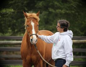 NCPD-05062025-Retreat-2081